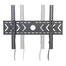 Flat Panel Mount, AMER MOUNTS BIGASSMOUNT100T IMAGE 2