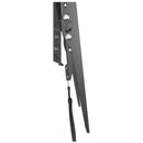 Flat Panel Mount, AMER MOUNTS BIGASSMOUNT100T IMAGE 3