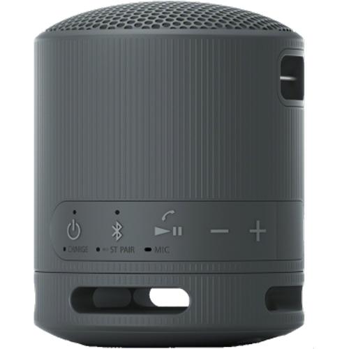 Waterproof Bluetooth Compact Speaker, Sony SRSXB100 - Black IMAGE 4
