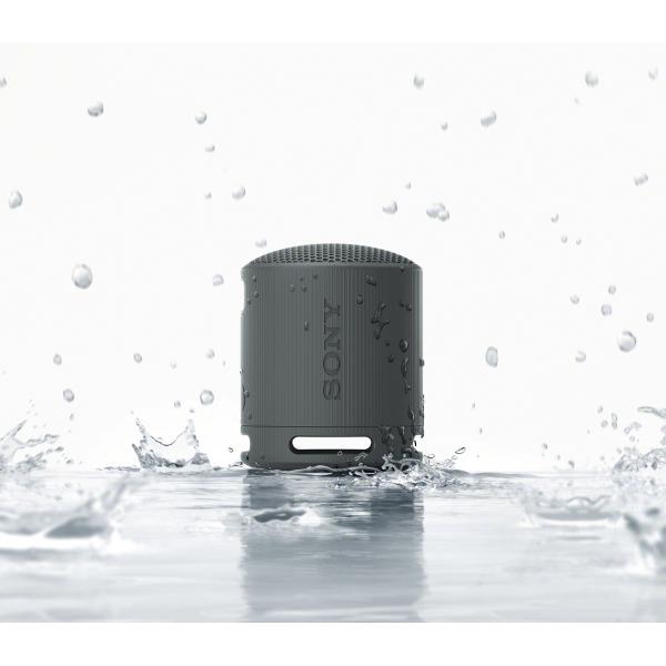 Waterproof Bluetooth Compact Speaker, Sony SRSXB100 - Black IMAGE 8