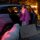 Companion Portable Display Carrying Case, Skyworth 24P100CASE IMAGE 4