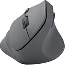 Track Ergo Wireless Mouse, Bluediamond GD8000BDM01 IMAGE 2