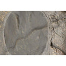 ML-75R 7.5in Stereo Rock, Grey Matin Logan ML75R IMAGE 3